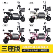 세발 전기 자전거 전동 2인용 삼륜 배달 미니 바이크 쉘위 배달용 팻 성인용 로드, 이중 구동 언덕[차동 모터]리튬전지 30A는 80km, 48V