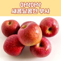 새콤달콤 아삭아삭 경북 부사사과, 부사 가정용 5kg(19~22과)
