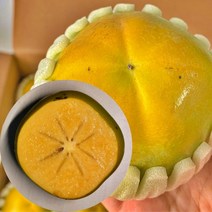 [산지직송] 고당도 아삭달콤 창원 태추단감 햇 배 단감 가정용 흠과 정품 선물용 선물세트 감 2kg 3kg 4kg 5kg, 1박스, 중과 2kg(가정용 8-11과)