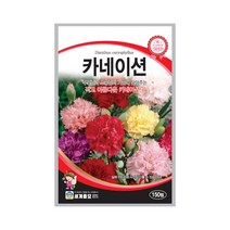 모칸도 (무배)세계 카네이션 꽃씨 (150립)