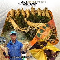 [삼돌이인삼]농가직거래 금산인삼 선물세트, 기본