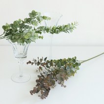 [천삼백케이] [윤자매네] 리얼 유칼립투스 가지(2color), 그린