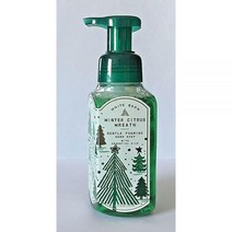 Bath & Body Works 젠틀 포밍 핸드 솝 겨울 시트러스 리스 배쓰앤바디웍스