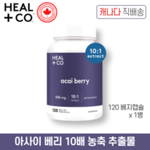 아사이 베리 10배 농축 500mg 120 베지 캡슐 캐나다 직구