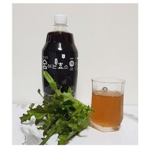 숨쉬는 산야초효소 1L, 1병