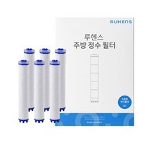 루헨스 싱크대 리필용 바디필터 WCS-300 RB, 화이트, 18개