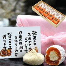 나카쓰카와의 밤 일본 밤빵 만주 화과자 5개입
