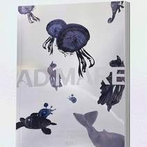 (CD) 엔믹스 (NMIXX) - Ad Mare (1st Single) (Light Ver.), 단품