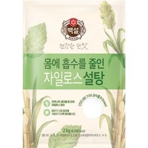 CJ제일제당 백설 자일로스 하얀 설탕 2kg