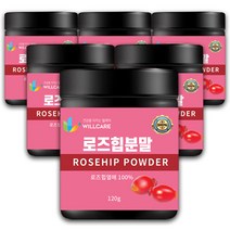 윌케어 로즈힙 분말 로즈힙 퓨레 가루, 6통