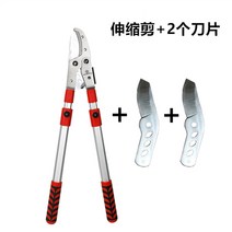 에어 화훼가위 정원가위 원예전지가위 집 꽃가위 전동 양손가위 꽃꽂이가위 소나무가지치기 다목적가위, 신축가위+칼날 2개