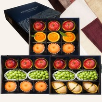 프리미엄 고급 과일 선물 세트 제수용 제사 사과 배 한라봉 샤인머스켓 망고 혼합 세트, 5. 혼합 과일 선물세트 3호