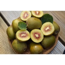 제주 고당도 레드키위 3kg 5kg 청년농부 직접재배, 점보