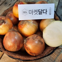 국내산 양파 햇 양파 산지출하중, 5kg특/대/혼합(1개), 1개