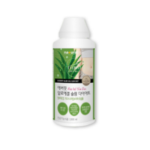 everfit 알로에겔 다이어트 가르시니아캄보지아추출물, 2개