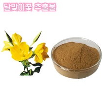 영진 달맞이꽃 겹달맞이꽃 달맞이꽃 분말 달맞이꽃 가루 달맞이꽃 추출물 농축 한방 차 건강분말, 30:1, 1봉, 200g
