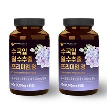 밸런스터치 수국잎 열수추출물 효능 이너뷰티 신소재 하이드란제놀 AMPK, 2통 / 4개월분 (추가 8%할인)