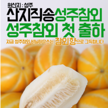 참앤팜 2020년 햇 성주참외, 1박스, 09)가정용 성주참외 대과 5kg이내(포장재 포함)