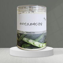 뉴데이 파바빈 프로테인 분말 250g, 1개