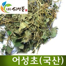 자연초 율초 한삼덩굴 250g 어린잎채취, 4개
