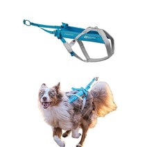 Non-stop dogwear Freemotion Harness 5.0 강아지 풀링 하네스 강아지와 함께 달리기 자전거 타기 및 스키와 같은 스포츠용 전문가용 조절 가능한 개, Blue / Gray