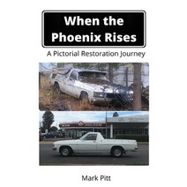 When the Phoenix Rises Paperback, Love Books Publishing