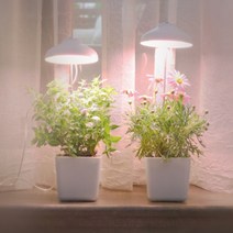 몽이정원 LED 우산 식물등 식물 조명 전구 생장등 성장등 램프 다육이 키우는법 이케아 정원 5W 스카이