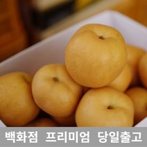 [특 등급 선별] 배 10kg 제철과일 과일 가래없애는방법 배도라지즙 과일종류 도라지배즙 배즙 과일선물세트 봄제철과일 배한상자 나주배 요즘제철과일 서양배 과일선물 특산물 배즙효능