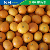 제주 위미농협 노지 감귤 10kg/일반