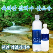 청정지역 속리산 약 알카리수 산소수 몸에 좋은물 500ml 1.5L, 약 알칼리 산소수 500ml*20
