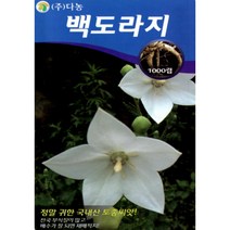 (씨앗) 백도라지 - 흰 꽃 피는 도라지 - 도라지 길경 씨앗 종자 - 1천립