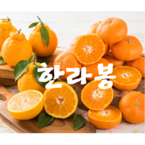 [제주만감] 한라봉 3kg 5kg, 선물용