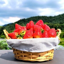겨울 설향 딸기 300g 2상자 생과 or 데코용, 데코용 설향 딸기 20-30과 2상자