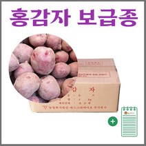 물만주세요 식물키트 튤립키우기 새싹채소키우기 파이캔, 화이트(유채새싹)