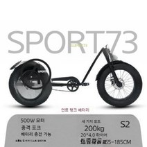 오프로드 전기 자동차 전동 자전거 소형 접이식, G, 13AH