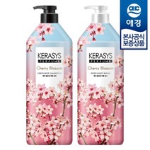 애경 케라시스 퍼퓸 체리블라썸 샴푸/린스 1L x2개, 샴푸+린스, 2개