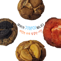 수제쿠키 답례품쿠키 결혼 선물 전문점, 르뱅 돼지바