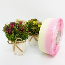 포장 리본 끈 제이제이리본 이색오간디36mm 18컬러 (길이 45M ) 공단리본, TO2, 36mm
