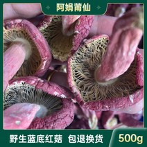 붉은 버섯 건조 제품 500g 정통 야생 표고 버섯, 250g