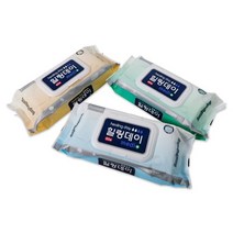 힐링데이 프리미엄 빅사이즈 물티슈 일반 플레인 요양병원 대형물티슈 캡형 60매, 60개입, 4개