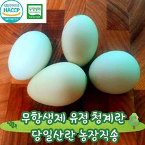청계란 HACCP인증 난각번호2번 무항생제 유정란 청란 농장직송, 40구