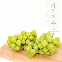 달콤폭발! 경산포도 샤인머스캣, 10, 2kg