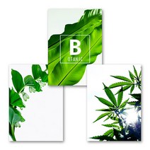 [아트톡] 인테리어 폼보드 3종 세트액자, 18.BOTANIC3