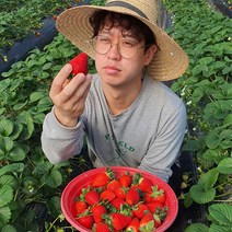 달콤한 논산 딸기 제철 프리미엄 산지직송 죽향 딸기 500g 800g 1kg 1.6kg 2kg, 죽향(특)500g