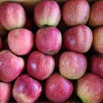 첫수확 청송 햇사과 안동 산지직송 흠과 꿀사과, 햇사과 3kg 중과(10~14과), 1개