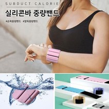 헬스 손목 중량밴드 실리콘 발목 모래주머니 홈트 아령 웨이트, 4.1파운드 스카이