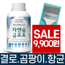 결로방지페인트 자연숨 규조토페인트 1kg 곰팡이방지 벽지 항균 베란다 실내 단열페인트, 1개