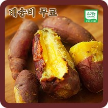 농바름 유기농 꿀 고구마 엄지 보통 상 특상 3kg 5kg 10kg, 농바름 고구마 엄지 3kg