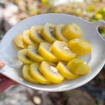 골드키위 국산 참다래 골든키위 실속형 중과 5kg