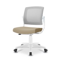 에어론 제우스 ZW380 학생 오피스 사무용 컴퓨터 의자 체어, 팔걸이 추가, 베이지+그레이